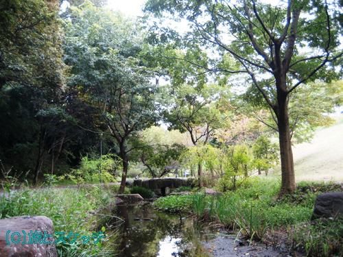 徳生公園